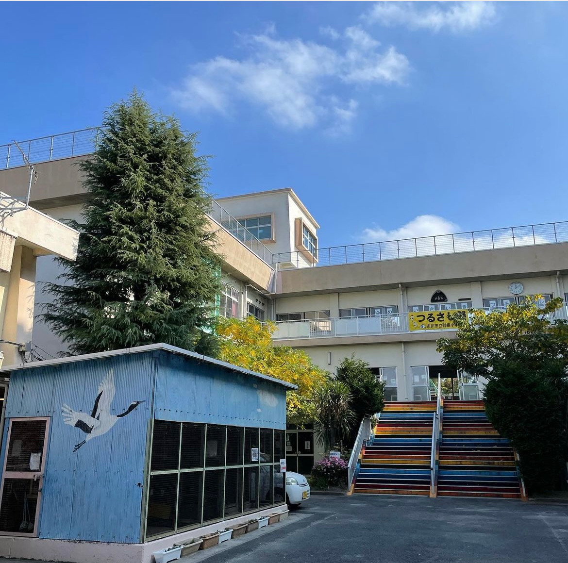 活動歴および当時の関連ビジュアル記録